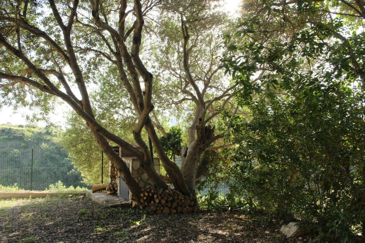 Rustici L'Antico Torchio Villa Castellammare del Golfo Eksteriør bilde