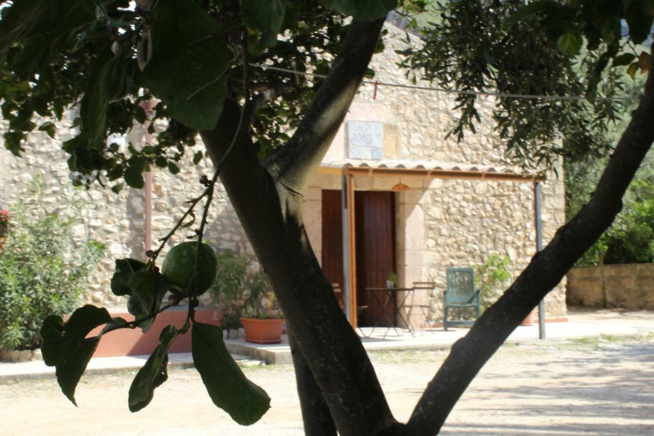 Rustici L'Antico Torchio Villa Castellammare del Golfo Eksteriør bilde