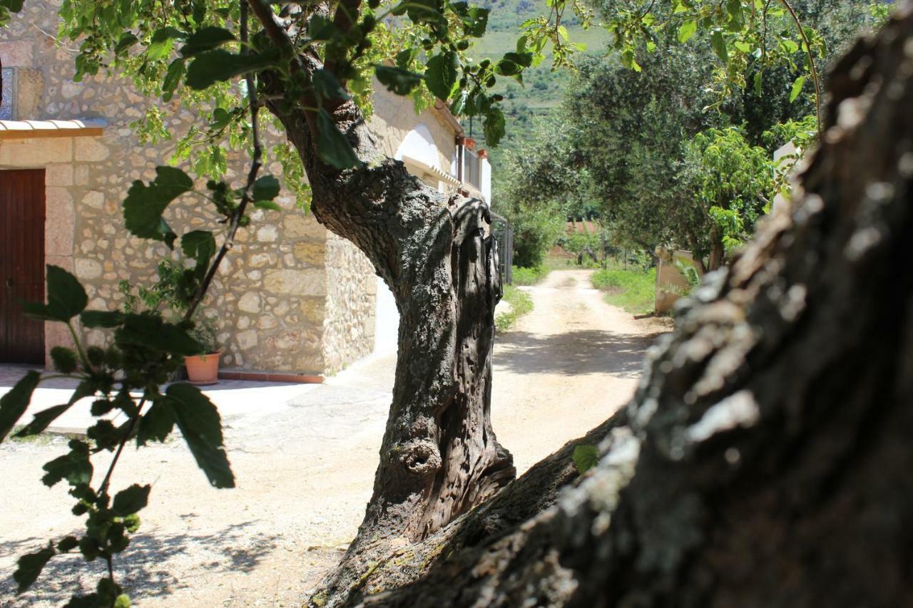 Rustici L'Antico Torchio Villa Castellammare del Golfo Eksteriør bilde